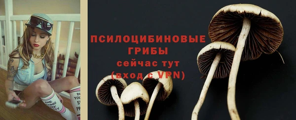 марки nbome Балабаново