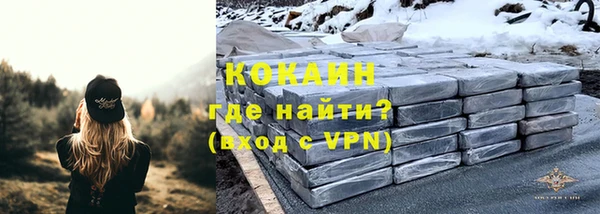 прущие грибы Баксан