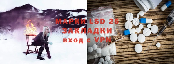 прущие грибы Баксан