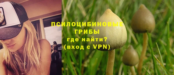 прущие грибы Баксан