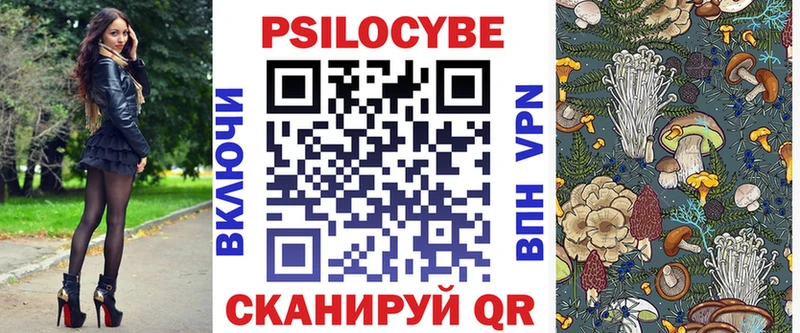 дарк нет как зайти  Ядрин  Галлюциногенные грибы Psilocybine cubensis  магазин  наркотиков 