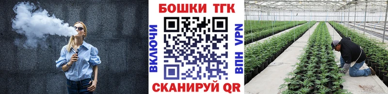 купить наркоту  Ядрин  Бошки марихуана гибрид 